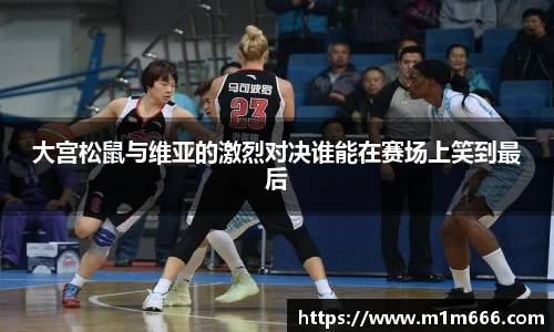 3377体育官网入口网页版