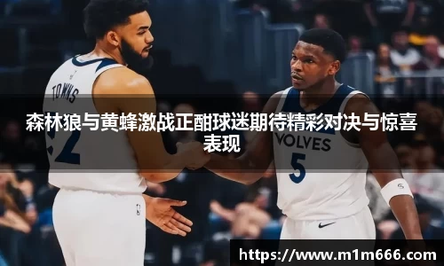 森林狼与黄蜂激战正酣球迷期待精彩对决与惊喜表现